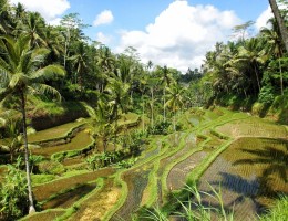 SPECIAL BALI - EXCLUSIVO SPECIAL TOURS